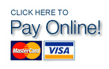 PayOnline-1
